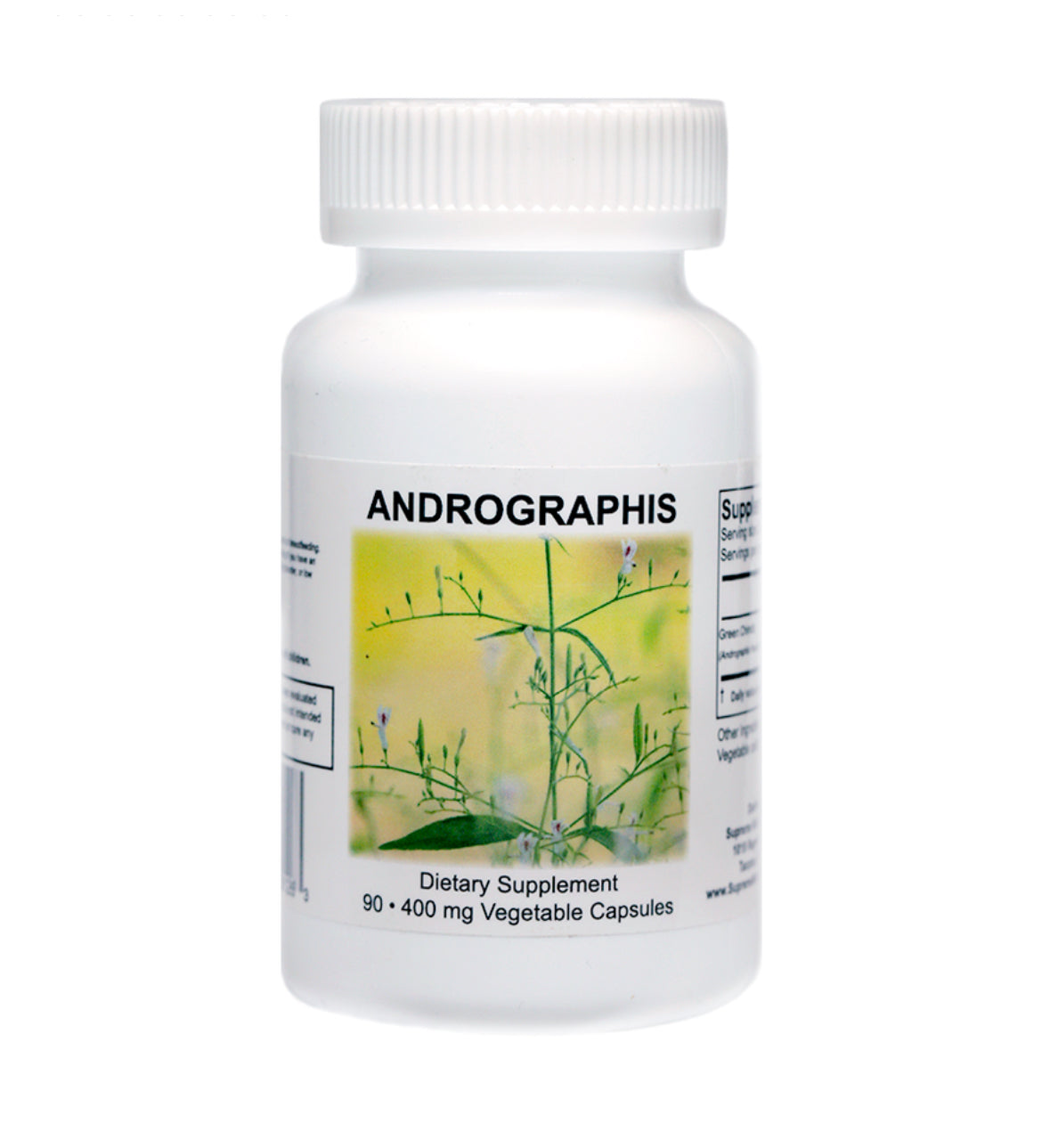 Andrographis