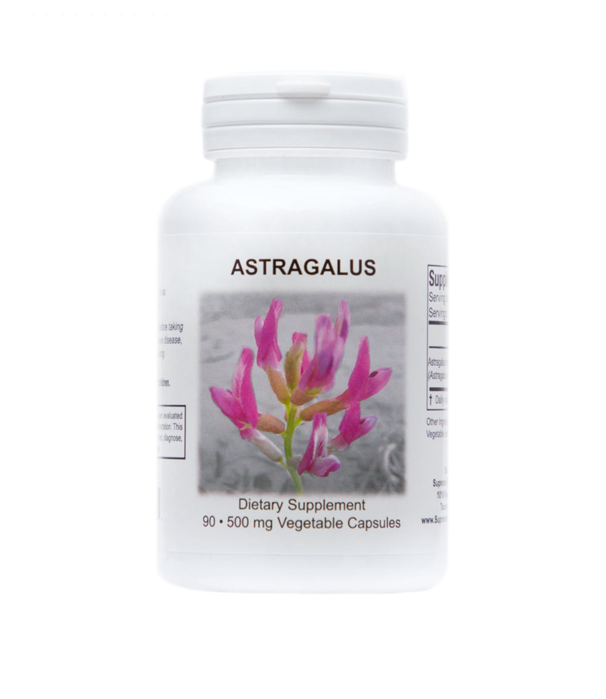 Astragalus