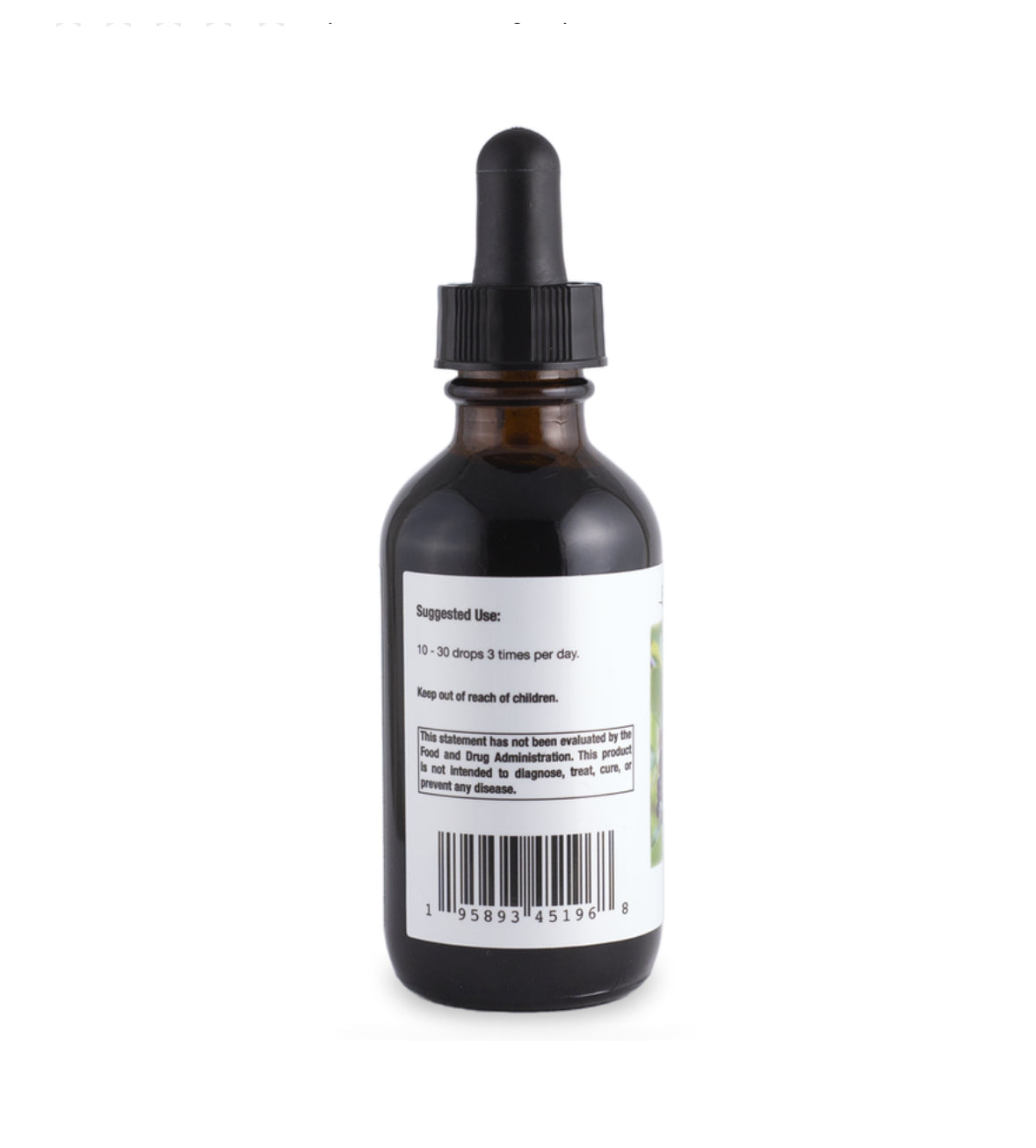 Elderberry Tincture