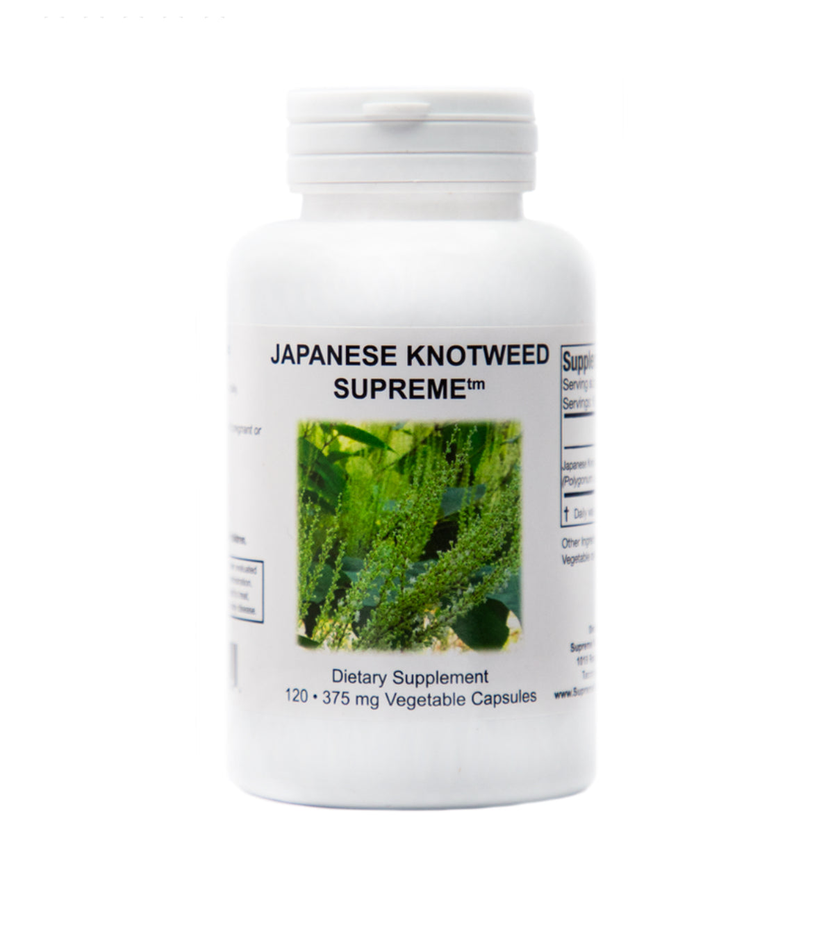 Japanese Knotweed Supreme