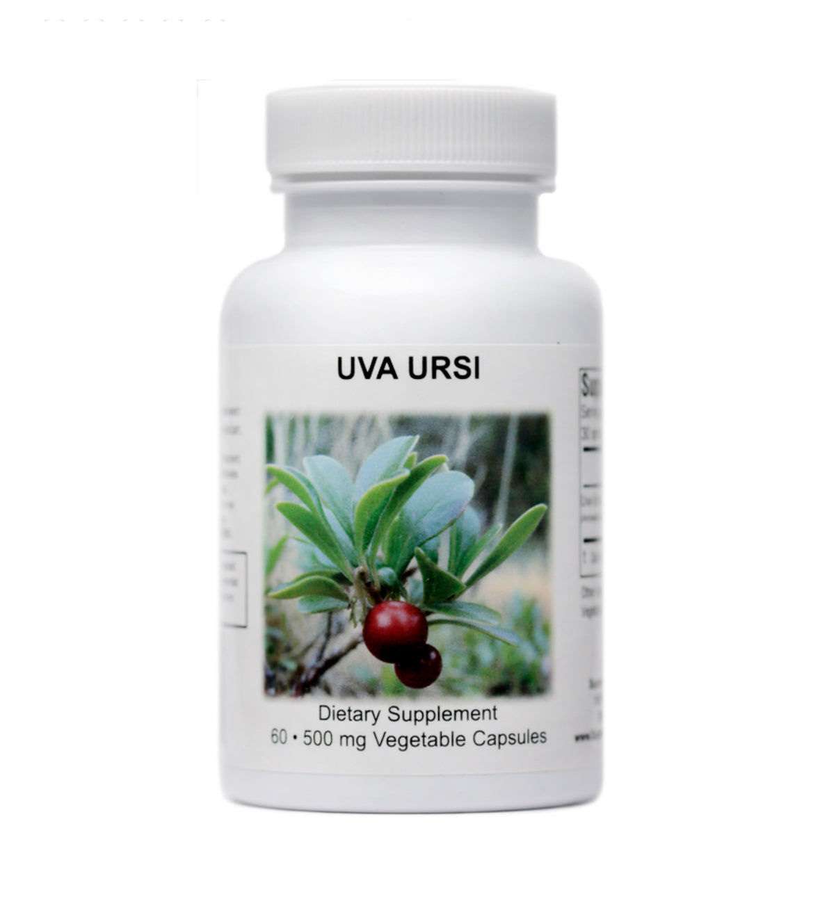 Uva Ursi